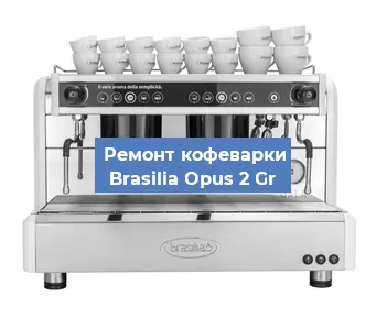 Замена прокладок на кофемашине Brasilia Opus 2 Gr в Красноярске